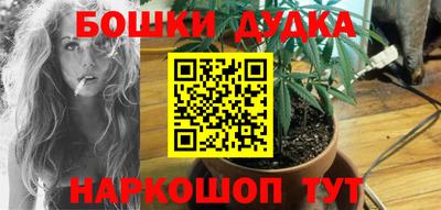 прущие крисы Нальчик