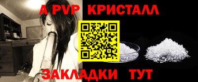 прущие крисы Нальчик