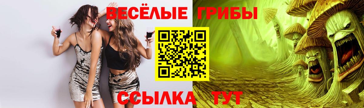 Псилоцибиновые грибы Cubensis  Псилоцибиновые грибы GOLDEN TEACHER  Сертолово  Вход с VPN 